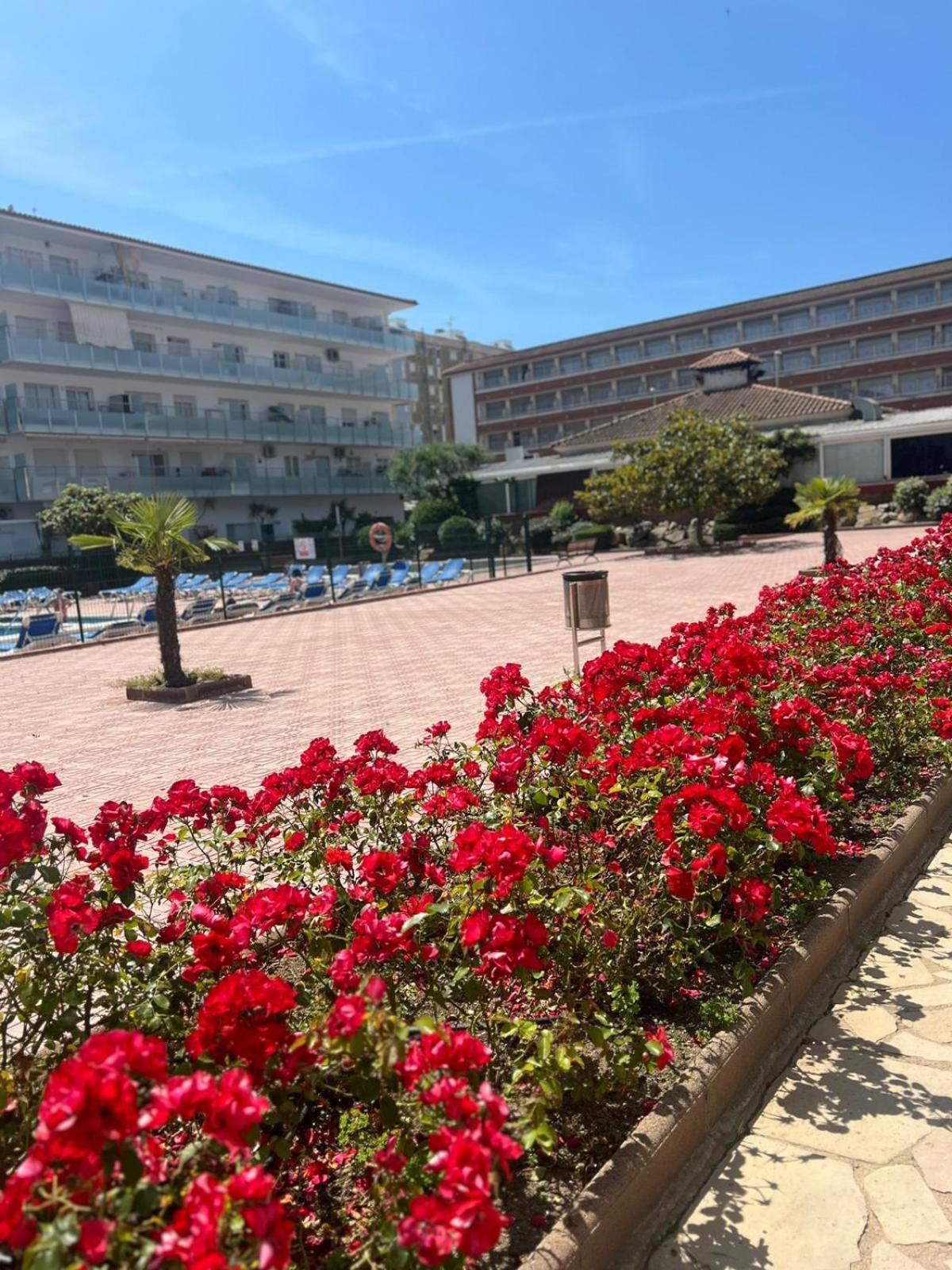 Apcostas Els Pins Lotus Apartman Blanes Kültér fotó
